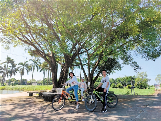 深圳游客在江門暢享“3.3精彩之旅”。