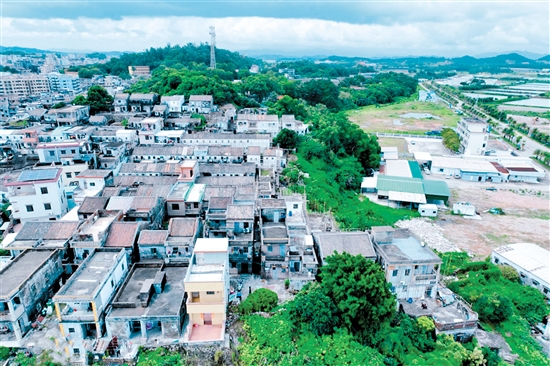 經(jīng)過改造后，鯤鵬村的舊房屋（上圖）披上具有海洋元素的“外衣”，村容村貌明顯改善。