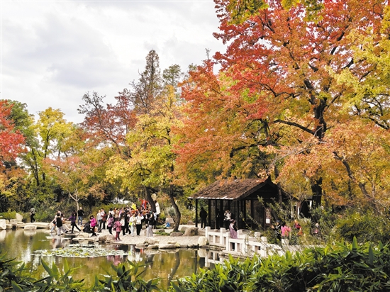 天平山秋色十分醉人。