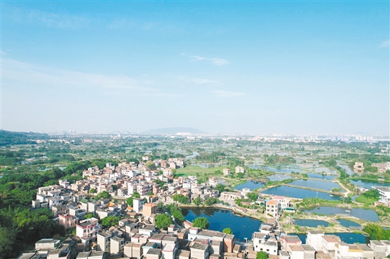 走進(jìn)雙橋村，連片的?；~塘映入眼簾，隨處可見粼粼波光。