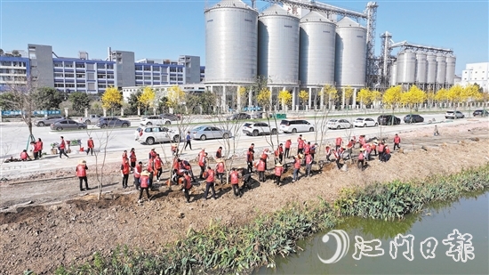 外海青年人才參與“人才林”植樹(shù)活動(dòng)。