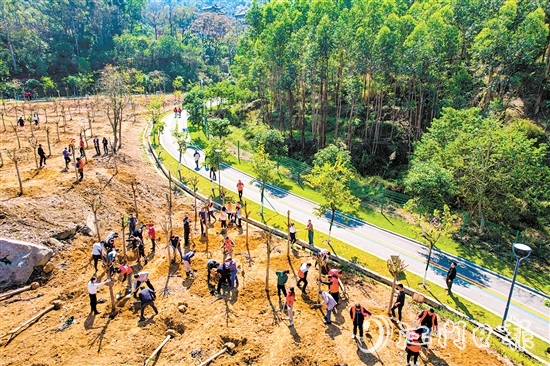 蓬江區(qū)在杜阮涼瓜田園綜合體開展2024年推進(jìn)綠美廣東生態(tài)建設(shè)義務(wù)植樹活動(dòng)。