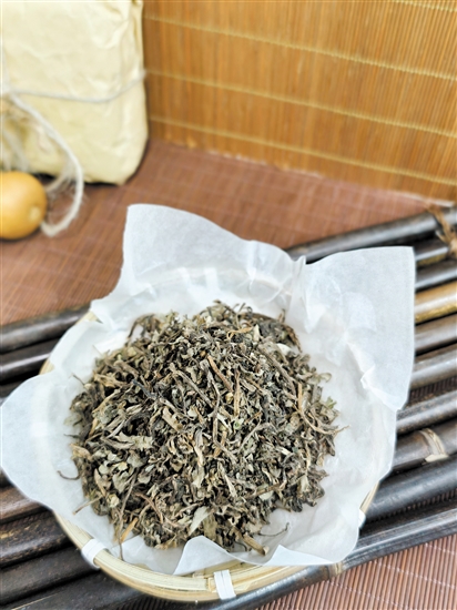 午馬——馬齒莧