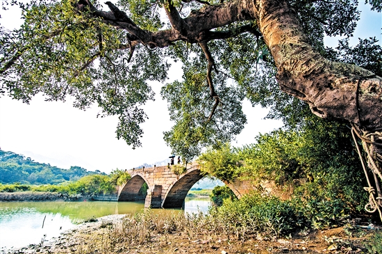 北陡鎮(zhèn)琴溪古橋。