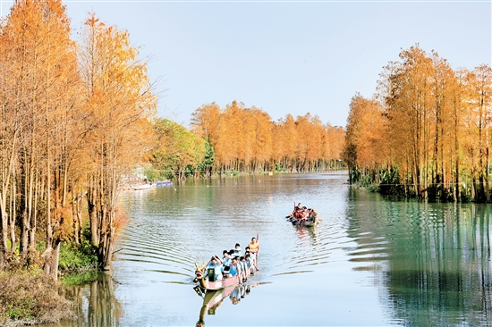 禮樂龍舟訓(xùn)練基地風(fēng)景如畫。