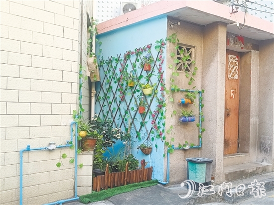 家門口的立體小花園為禾岡村注入生機(jī)與活力。