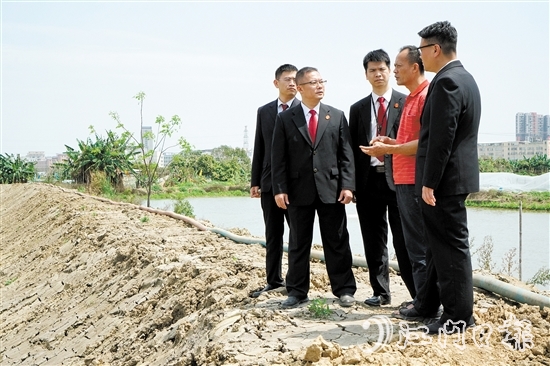 執(zhí)行法官在田間地頭向當(dāng)事人了解案情。