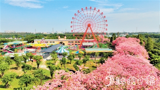 依托禮樂街道獨特旅游資源，長廊生態(tài)園開發(fā)研學旅游項目，賦能“江門三點三精彩之旅”品牌建設。