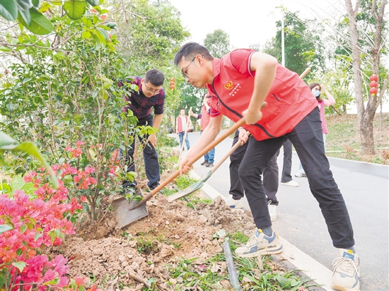 大家分工明確，一起植樹(shù)添新綠。