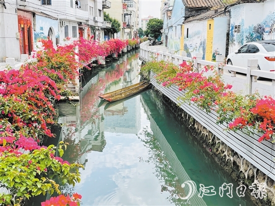 外海街道直沖村一河兩岸花團(tuán)錦簇，美景如畫(huà)。