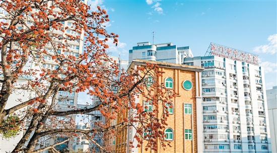 江門市中心醫(yī)院將不斷優(yōu)化就醫(yī)流程和環(huán)境。