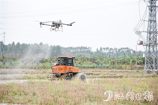 無人機、水旱耕作機協(xié)作開展春耕生產(chǎn)。