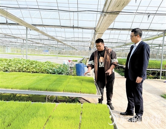 臺(tái)山農(nóng)商銀行客戶經(jīng)理上門對(duì)接農(nóng)戶春耕融資需求。