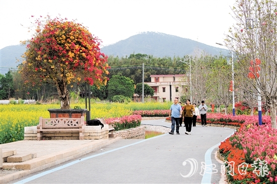 在鶴城鎮(zhèn)城西村忠心崗，油菜花、金魚草、三角梅競相開放。