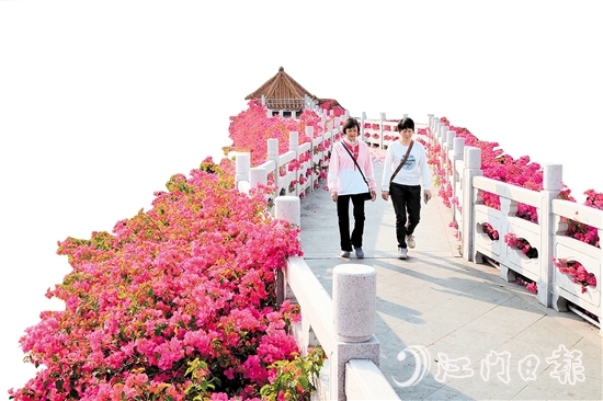 走進沙坪街道北湖公園，在九曲橋兩側，怒放的三角梅形成一條“水上花廊”。