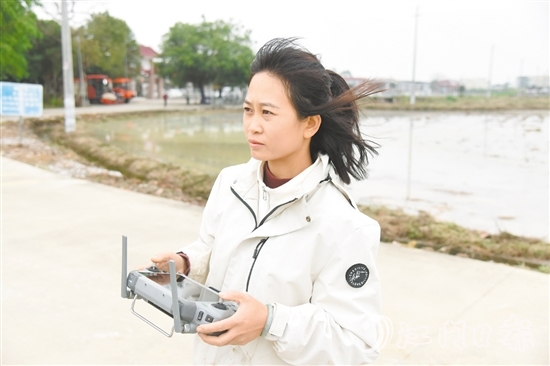 李坤蘭在田埂邊操作植保無人機(jī)。