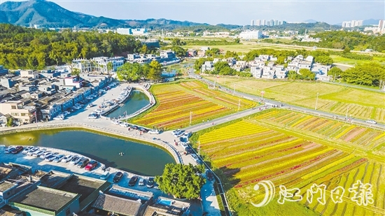 春賞格桑花、夏觀荷塘月、秋品稻花香、冬聞桂花釀的“全季旅游”模式，讓桂水村的知名度不斷攀升。