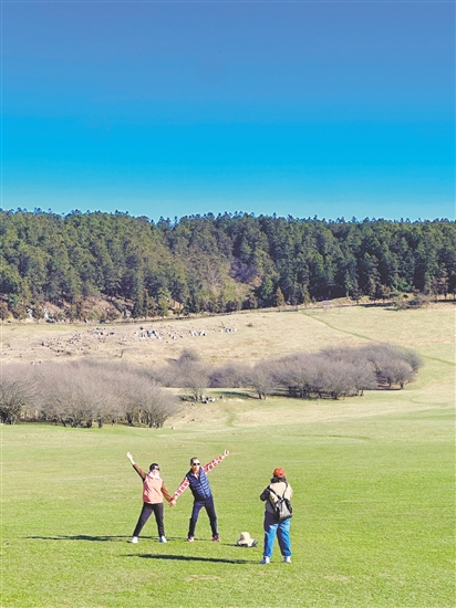 仙女山國家森林公園十分治愈。
