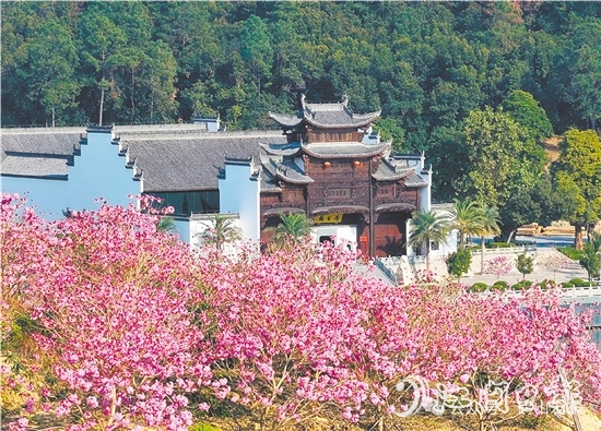 共和鎮(zhèn)來蘇村利用去年擂臺比武獲得的獎勵資金進(jìn)行一系列鄉(xiāng)村建設(shè)。圖為來蘇山水人家文旅項目。