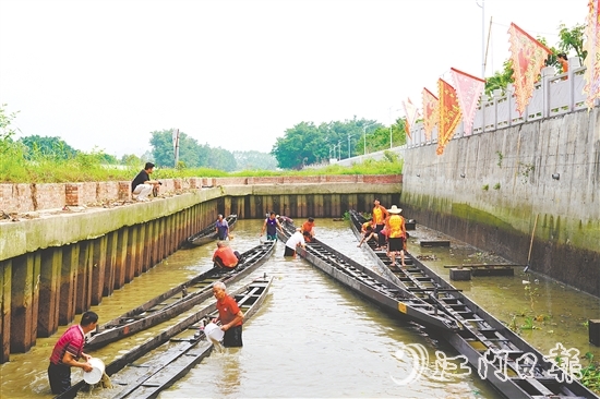 大澤鎮(zhèn)牛勒村將龍舟從泥潭中挖出。