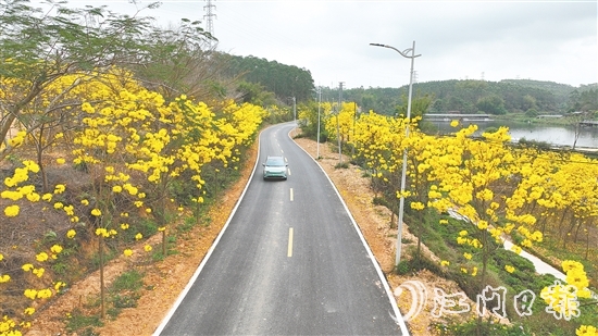 如今，縣道X552的面貌煥然一新，成為鄉(xiāng)村一道新風(fēng)景。