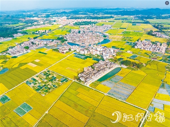 恩平土壤肥沃，富含“硒”元素，該市正努力推動(dòng)讓“硒”資源轉(zhuǎn)化為富民強(qiáng)市的“硒”經(jīng)濟(jì)。圖為恩平市牛江鎮(zhèn)。