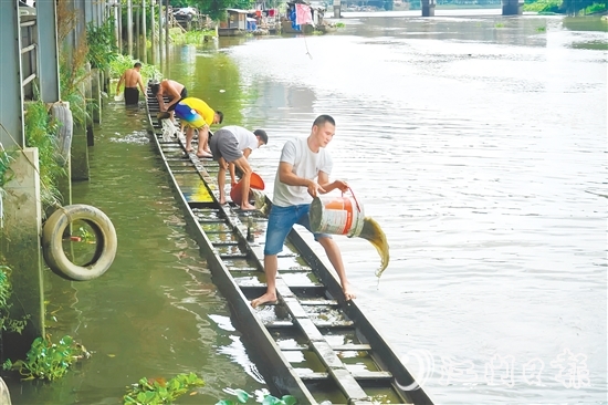 掏泥沙、舀泥漿，長(zhǎng)沙街道愛民村委會(huì)杜澄村村民分工合作，“請(qǐng)”出河中的“金龍”。
