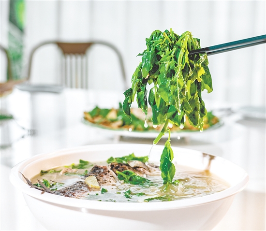 簕菜鯽魚湯鮮甜美味。