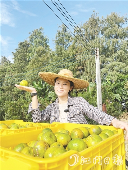 劉雪菲不斷探索新會(huì)柑種植、新會(huì)陳皮陳化倉儲(chǔ)的更多可能。