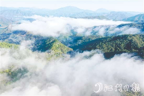 七星坑保護(hù)區(qū)的森林覆蓋率高達(dá)98%，負(fù)氧離子濃度年平均值達(dá)2192個(gè)/立方厘米，遠(yuǎn)超世界衛(wèi)生組織界定的清新空氣標(biāo)準(zhǔn)（≥1000個(gè)/立方厘米）。