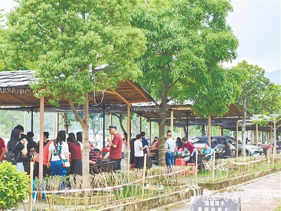 今年“五一”假期，恩平市簕菜文化創(chuàng)意園內(nèi)游人如織。