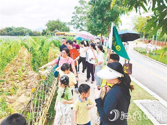 參與者們參觀農(nóng)作物種植。
