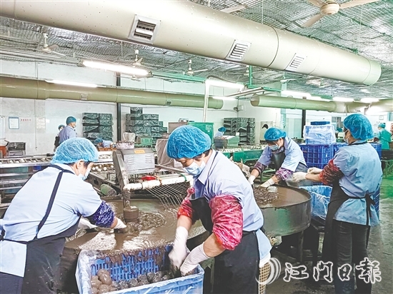 龔邊村依托本地特色農(nóng)業(yè)企業(yè)，深挖本地特色資源，強龍頭、補鏈條、樹品牌，將傳統(tǒng)手藝轉(zhuǎn)化為年產(chǎn)值超2000萬元的支柱產(chǎn)業(yè)，一枚枚咸香流油的咸鴨蛋成為富民強村的“金鑰匙”。