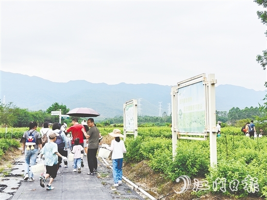 恩平市簕菜文化創(chuàng)意園打造集文旅、飲食、研學(xué)、農(nóng)耕等于一體的旅游綜合體。