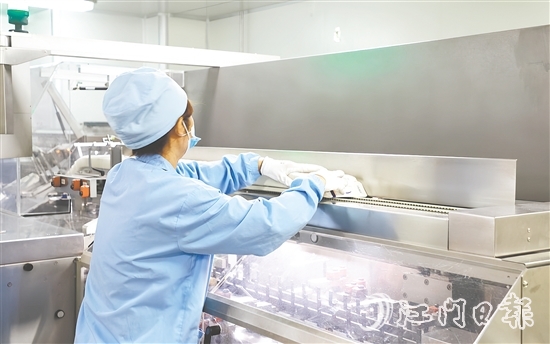 在生物醫(yī)藥產(chǎn)業(yè)領(lǐng)域，開平市聚焦生產(chǎn)制造端，在珠江西岸率先構(gòu)建起“原料藥—化藥制劑—醫(yī)療器械—流通服務(wù)—終端需求”的垂直整合型產(chǎn)業(yè)生態(tài)。圖為廣東彼迪藥業(yè)有限公司生產(chǎn)車間。