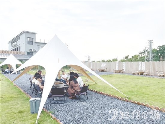 聞著稻香喝咖啡、住民宿，成為不少城市人放松身心的選擇。