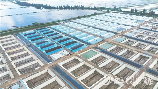 汶村鎮(zhèn)今年新引進(jìn)華辰水產(chǎn)，這是集研發(fā)、規(guī)?；B(yǎng)殖、生產(chǎn)于一體的現(xiàn)代化項(xiàng)目。