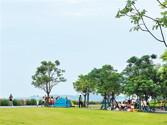 每到周末及節(jié)假日，江門各大公園及露營地成為親子野餐露營的首選之地。