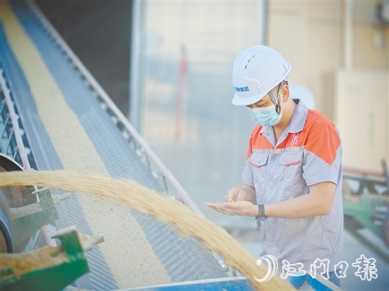 臺(tái)國(guó)糧集團(tuán)以“珍香”品牌優(yōu)質(zhì)大米為核心依托，構(gòu)建起涵蓋收購(gòu)、烘干、儲(chǔ)備、輪換，以及精深加工、品質(zhì)檢測(cè)、市場(chǎng)銷(xiāo)售的全鏈條產(chǎn)業(yè)化經(jīng)營(yíng)體系。