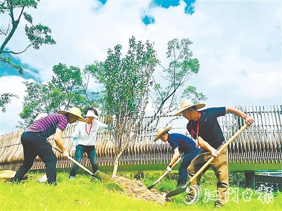 會城街道人大代表在小鳥天堂國家濕地公園種下40多株桃花樹苗。