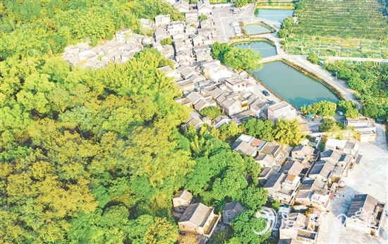 大江鎮(zhèn)石橋村華僑資源豐富，村內(nèi)有成片僑房形成的僑韻景觀。