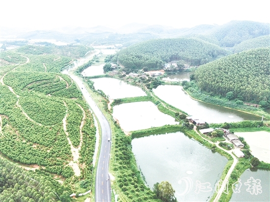 鶴山依托區(qū)位、資源、項(xiàng)目等核心優(yōu)勢(shì)，大力發(fā)展特色戶外運(yùn)動(dòng)。