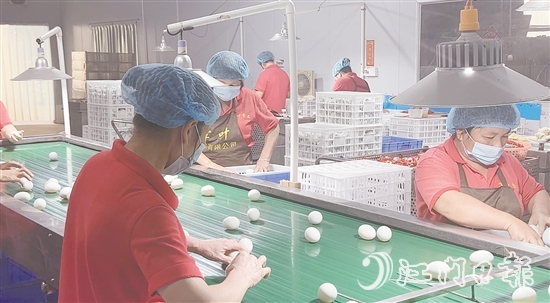 赤水鎮(zhèn)現(xiàn)已形成集種鴨繁育、生態(tài)養(yǎng)殖、飼料供應、肉禽屠宰、蛋品加工、冷鏈物流于一體的完整產(chǎn)業(yè)鏈，產(chǎn)業(yè)總產(chǎn)值超5億元。