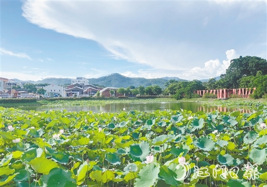 都斛鎮(zhèn)大綱村圍繞產業(yè)發(fā)展、人居環(huán)境、鄉(xiāng)村治理三大重點領域持續(xù)發(fā)力，打造成為區(qū)域鄉(xiāng)村振興的示范樣板。