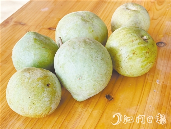 冰淇淋果果實成熟時可呈黃色或綠色，果肉為乳白色或米黃色，質(zhì)地綿軟順滑，果香濃郁。