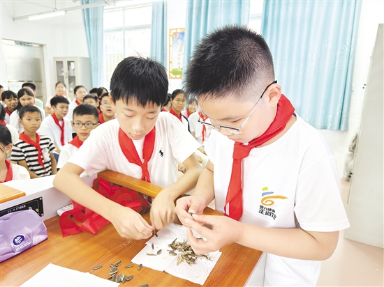 學(xué)生們兩兩配合，立即切換成“剝瓜子高手”模式。