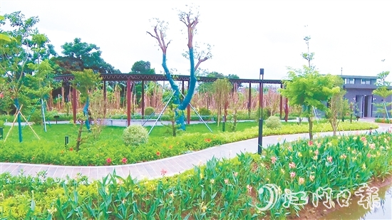 沙東村的村容村貌煥然一新。