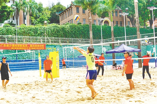 培訓讓年輕教練認識沙排的基本發(fā)展規(guī)律以及訓練中需注意的技術要點。