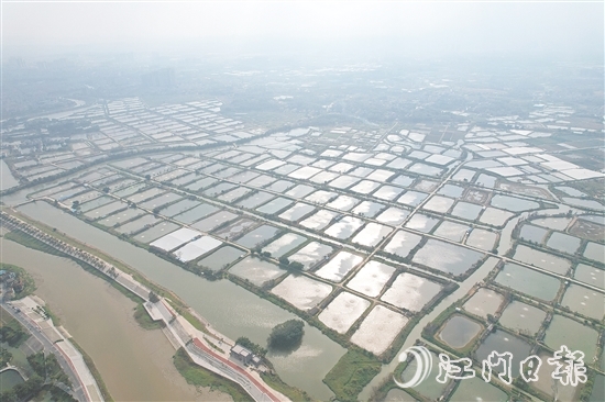 古勞鎮(zhèn)大埠村實行“股票田改革”，帶動村集體經(jīng)濟蓬勃發(fā)展，村民以田入股實現(xiàn)穩(wěn)定增收。