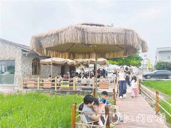 牛江鎮(zhèn)牛欄咖啡吸引諸多游客前來打卡。